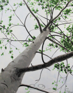 Digital image of the acrylic painting entitled "Asymmetree" by L. "Eilee" S. George, 11"x14", acrylic on canvas, painted in 2013, of a tree stretching to the sky in Lafayette, Colorado during the summer