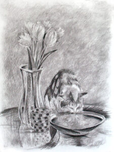 Digital image of charcoal drawing "Be Still Life" (Peekaboo) by L. Eilee S. George © 2008 L. Eilee S. George