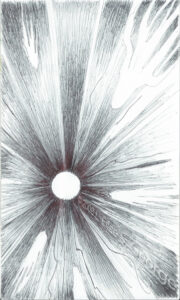 Digital image of ball-point pen abstract drawing © 2008 L. Eilee S. George