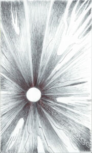 Digital image of ball-point pen abstract drawing © 2008 L. Eilee S. George