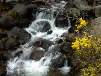 Digital photo of a Chicago Creek waterfall in fall on Mt. Evans near Boulder County CO © 2003 L. Eilee S. George
