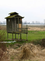 Digital photograph of an odd little folly building near a railroad track along the Columbia River in Oregon, north of Portland, with moss growing on its deck and roof © 2008 L. Eilee S. George, taken in March when the moss was thriving with all the rain.