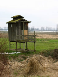 Digital photograph of an odd little folly building near a railroad track along the Columbia River in Oregon, north of Portland, with moss growing on its deck and roof © 2008 L. Eilee S. George, taken in March when the moss was thriving with all the rain.