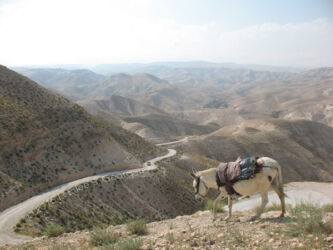 Digital photograph of a burro packed up for a journey in Jericho, Israel, amid a barren mountainscape © L. Eilee S. George