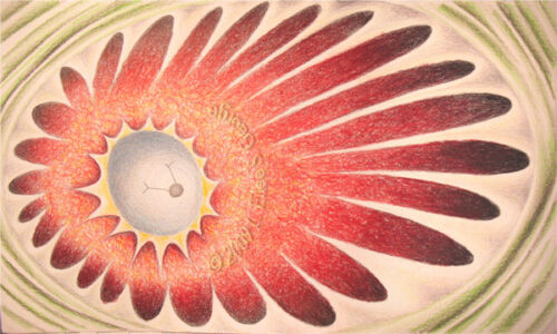 Digital image of colored pencil drawing "Outwitted", inspired by psychological phenomena by L. Eilee S. George © 2009 L. Eilee S. George