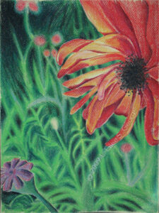 Digital image of colored pencil drawing "Up Close and Poppy" by L. Eilee S. George © 2009 L. Eilee S. George