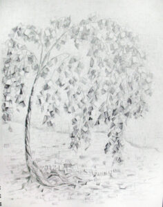 Digital image of original graphite drawing by Linda Eileen S. George a.k.a "Eilee" George on white paper entitled 'Squarism Willow'; 14" h x 11" w; a representation of a weeping willow in a rectilinear, fractured style that echoes the artist's painting style