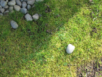 Digital photograph of some river rocks near/in grass, most in shadow but one alone in the sun, with a cast shadow diagonally bisecting the composition showing the conformists versus the pioneer (symbolically); thgis I happened on at just the right frame of mind and angle of sun and saw the symbolism in it immediately; © 2008 L. Eilee S. George