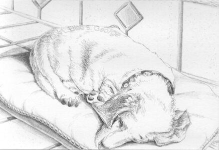 Digital image of ballpoint pen drawing "Niki Sleeping" by L. Eilee S. George