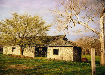 An area I kept visiting until it fell apart, 35mm scan © 1989 L. Eilee S. George