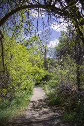 Open invitation to go exploring in Jefferson County CO © 2022 L. Eilee S. George