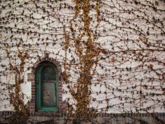 A building at Denver Botanical Gardens is patterened w vines © 2014 L. Eilee S. George