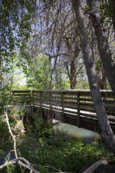 Bridge in Jefferson County © 2022 L. Eilee S. George