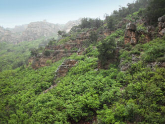Another 1 of a series of tunnels on the way across the Divide © 2012 L. Eilee S. George