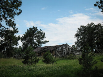 The only magnolia around here is the road © 2010 L. Eilee S. George