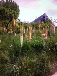 Flowers at Denver Botanical Gardens © 2016 L. Eilee S. George