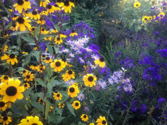Denver Botanic Gardens serving up local color © 2016 L. Eilee S. George