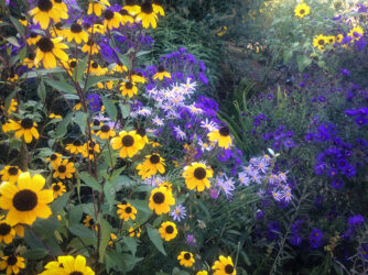 Denver Botanic Gardens serving up local color © 2016 L. Eilee S. George