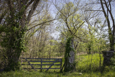 Old gate in Saginaw I visit about every 10-20 years © 2022 L. Eilee S. George
