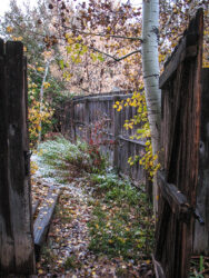 Gate to our old back yard during a brief snow in the heart of autumn in Colorado © 2009 L. Eilee S. George