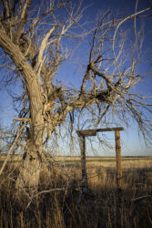Entry into the yard of an abandoned ghost town house in Last Chance CO © 2022 L. Eilee S. George