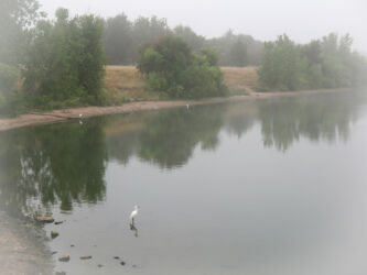 Herons at lake in Adams County CO in fog © 2013 L. Eilee S. George taken with Canon A630
