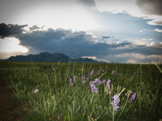 Surprising effect as flash goes off photographing a CO storm © 2007 L. Eilee S. George