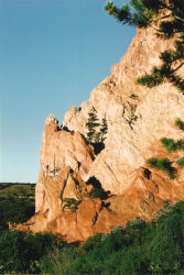 Tenacious tree growing from the high rock formations in Garden of the Gods, Colorado Springs, CO USA © 1993 L. Eilee S. George - taken on 35mm film and scanned into Eilee’s computer years later.