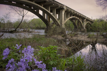 Bridge over Shoal Creek Joplin © 2022 L. Eilee S. George