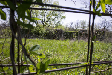 Barn I photo every 15-20 years © 2022 L. Eilee S. George