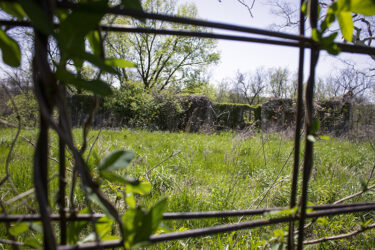 Barn I photo every 15-20 years © 2022 L. Eilee S. George