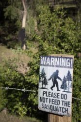 My kind of people being cheeky about Bigfoot with a wood cutout and a warning sign in Colorado © 2022 L. Eilee S. George