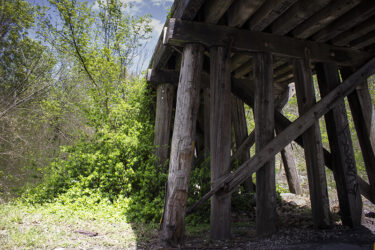Underneath a narrow old trellis Carterville MO © 2022 L. Eilee S. George