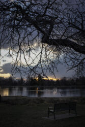 Scene at dusk Washington Park Denver © 2022 L. Eilee S. George