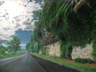 Beautiful grwoth on overhanging cliffs in northern Arkansas © 2014 L. Eilee S. George