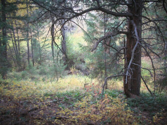 On and off trails at Lair o’ the Bear Open Space Park ouside Morrison CO © 2016 L. Eilee S. George