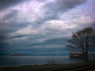 Near the mouth of the Columbia River in Astoria, OR, we happened along a picturesque bunch of houses on stilts and a view of ships and a rather complex dock © 2008 L. Eilee S. George