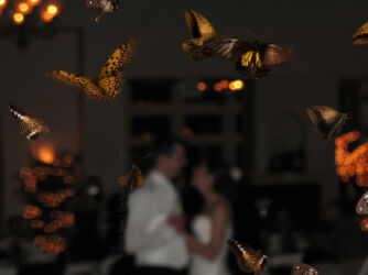 Family wedding with natural blur and bokeh effect © 2010 L. Eilee S. George