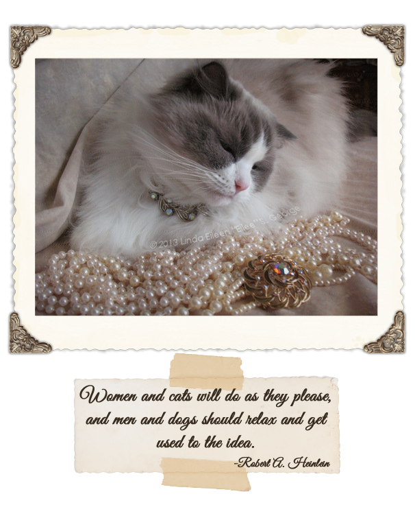 Yeti-the-Cat-Gals-N-Cats-by-Lin-Eilee-S-George