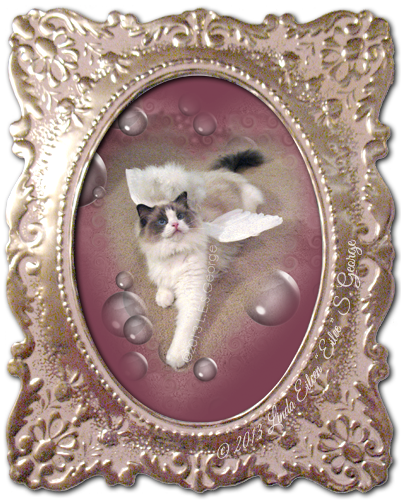 Yeti-the-Cat-Valentine-by-Lin-Eilee-S-George