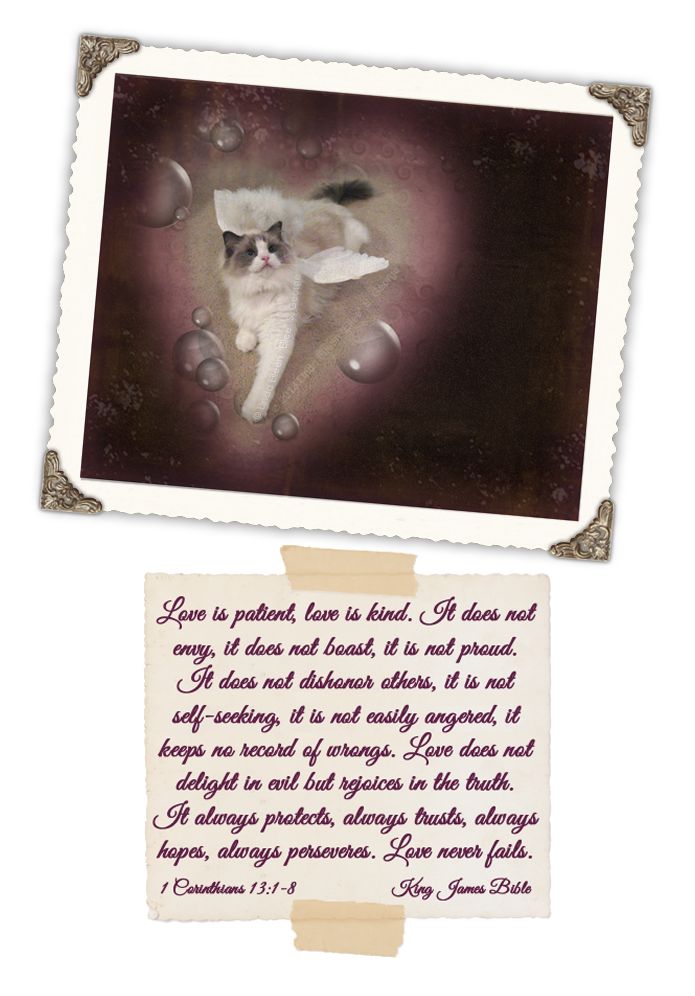 Yeti-the-Cat-I-Heart-Yeti-by-Linda-Eilee-S-George
