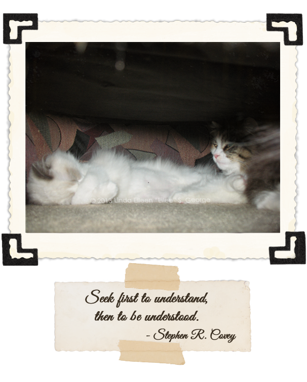 Yeti-Peekaboo-Cats-Chair-Hideout