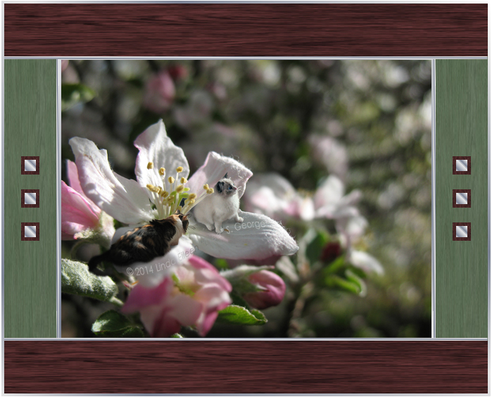Yeti-the-Cat-Boo-Yeti-Apple-Tree