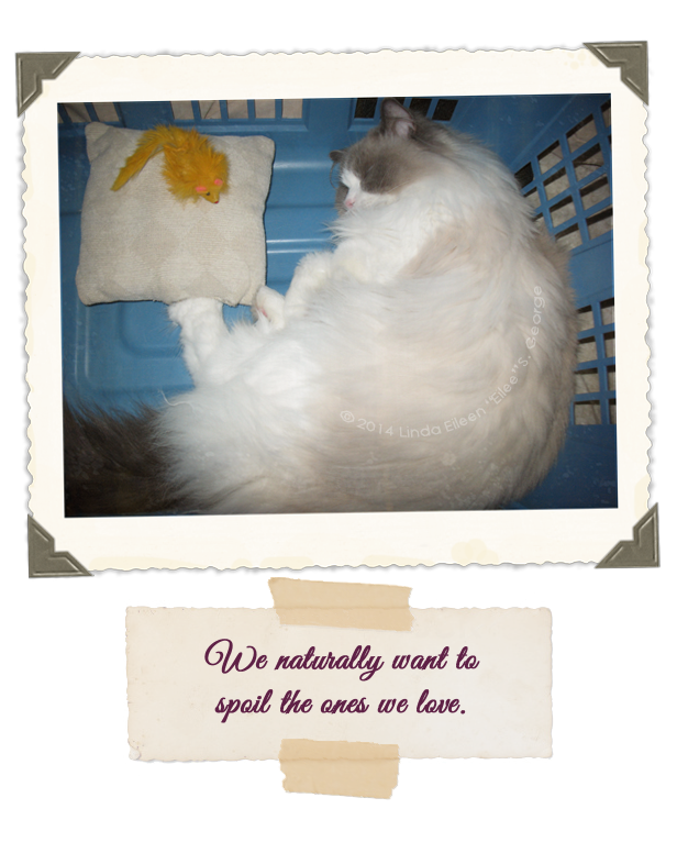 Yeti-the-Cat-and-Mousi-3